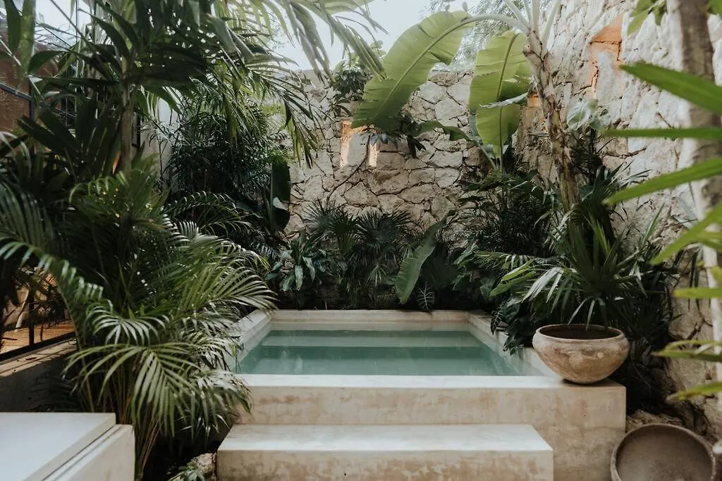 Tropical Design Dream With Private Pool Apartment Tulum