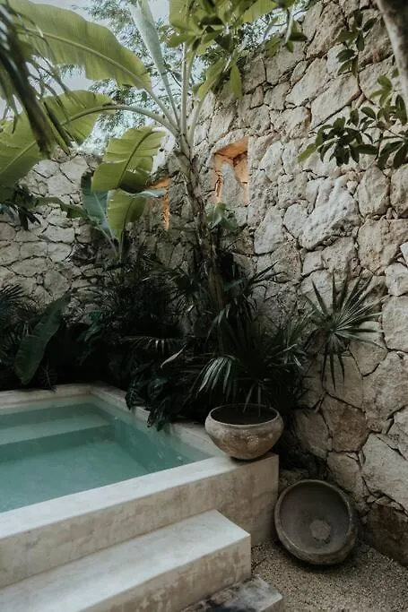Tropical Design Dream With Private Pool Apartment Tulum 0*,
