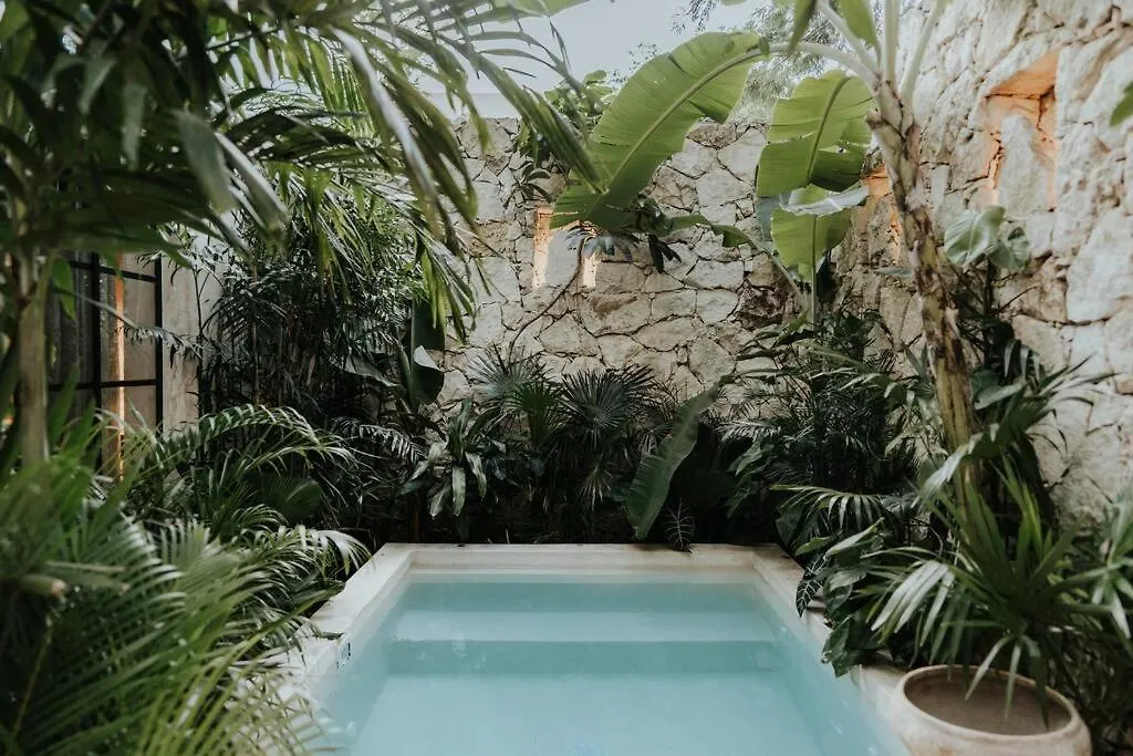 Tropical Design Dream With Private Pool Apartment Tulum